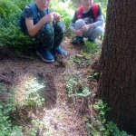 phoca_thumb_m_vp- 4. den  77 Fotogalerie